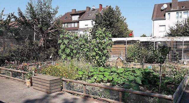 Von den Kindern angelegter Hortgarten im Herbst