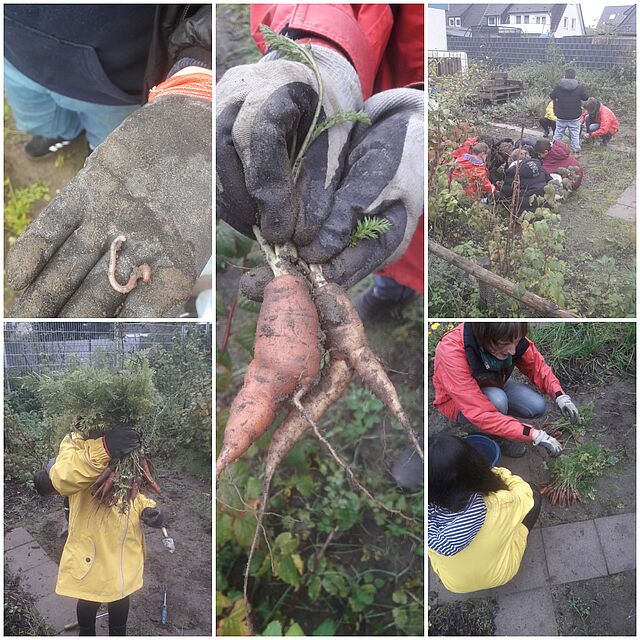 eine Collage aus fünf Bildern: Kinder arbeiten im Garten