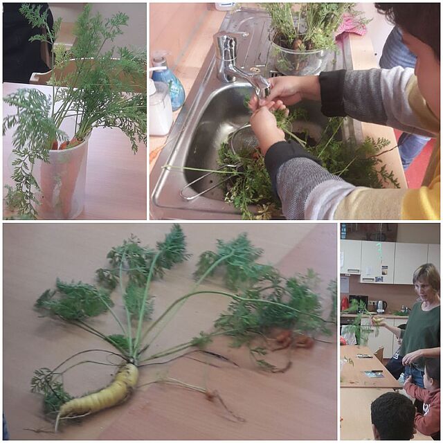 Fotocollage, Kinder putzen und waschen Gemüse aus dem Hortgarten