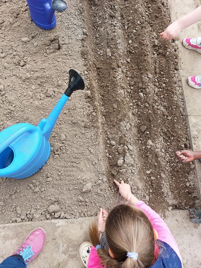 Kinder gießen die Samen