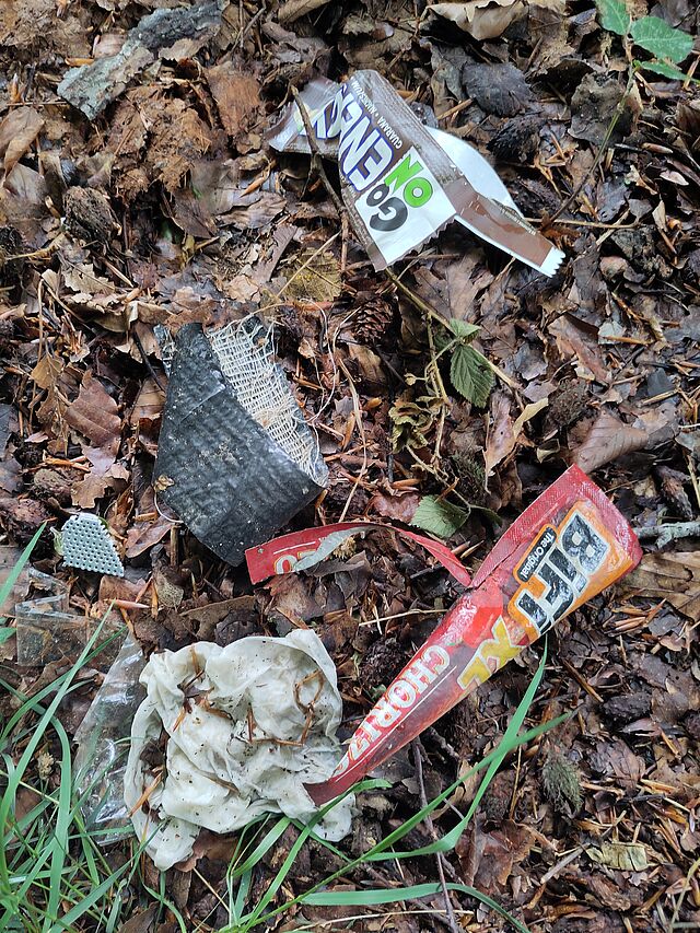 Das Bild zeigt Müll auf dem Waldboden. Es sind verschiedene Verpackungen sowie ein altes Taschentuch zu sehen.