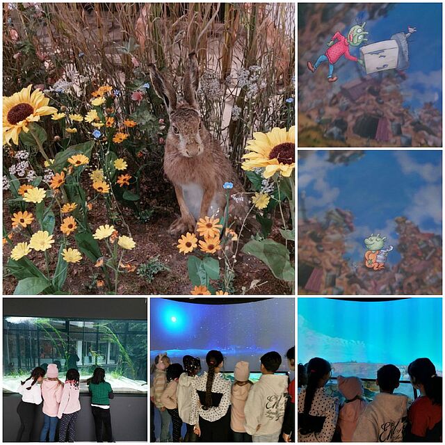 eine Collage, bestehnd aus 6 Bildern: ein Hase im Gras, Kinder stehen vor der Leinwand, auf welche Planeten projeziert werden, 2 Bilder mit Olchis